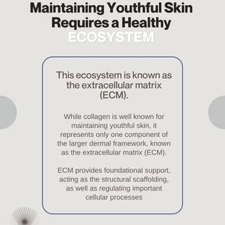 As we age, it's not just collagen that declines...
💡Read on to learn what is needed to maintain hea