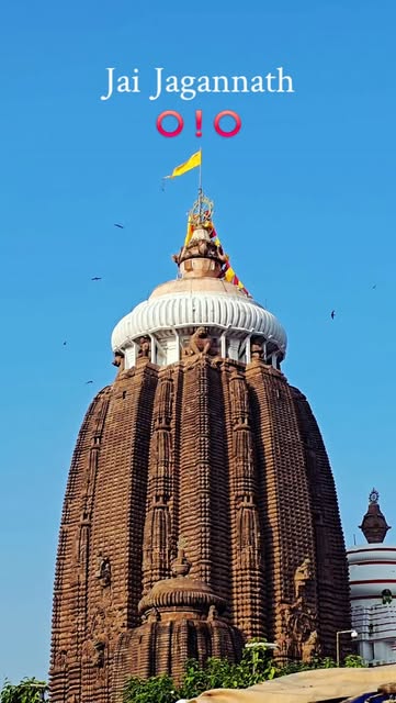 🛕 Jai Jagannath ⭕❗⭕

#travel #puri #Odisha #JaiJagannath #incredibleIndia