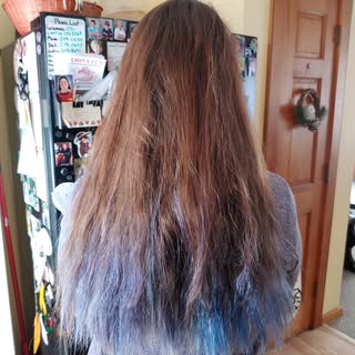💜💙 loving these transformations 😍  come see me @lastingimagesalonvt for your new spring look! #pu