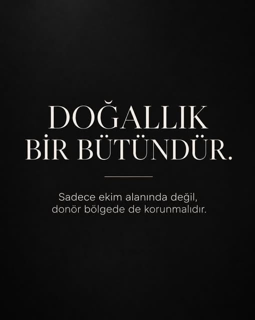 Doğallık yalnızca ekim alanında değil, donör bölgede de korunmalıdır. Çünkü başarılı bir saç ekimi, 