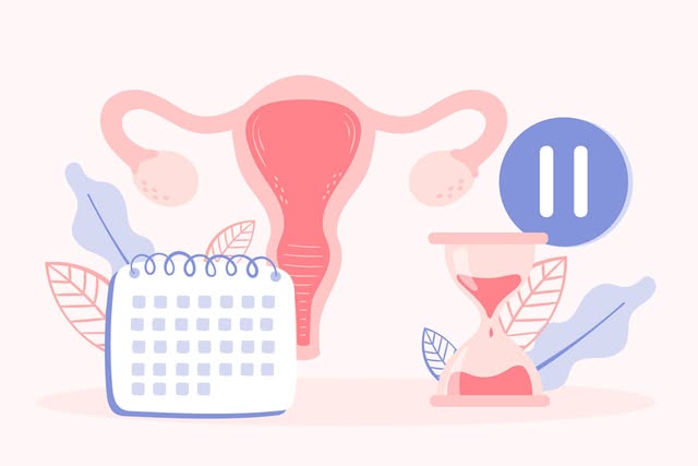 🌸 NOUVEAU SERVICE DE GYNÉCOLOGIE À ALMA ET CHICOUTIMI 🌸

Parce que chaque femme mérite une écoute 