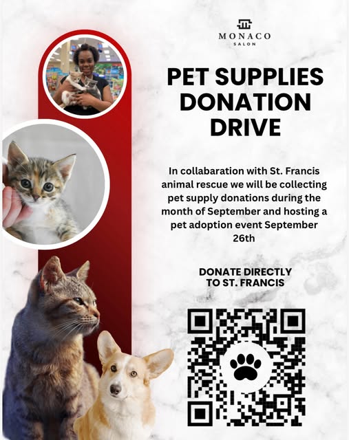 This event holds a very special place in my heart. ❤️

A year ago, I lost my furry friend to Feline 