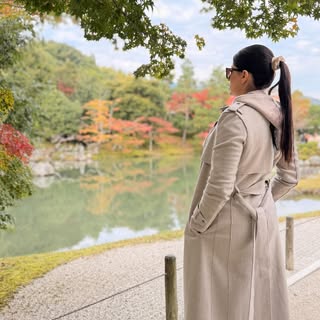 #kyoto #tenryuji #japanesegarden