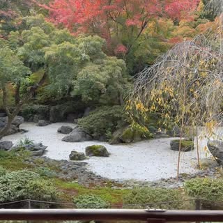 #secretgarden #kyoto