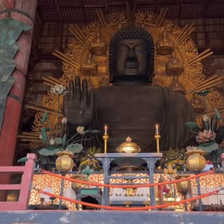 #japan #nara #todaijitemple
