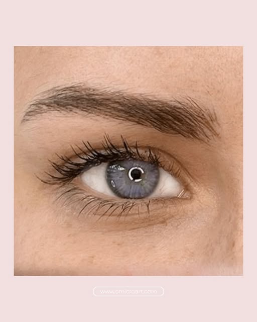 ✨ ¿Te imaginas despertarte cada día con las cejas perfectas?

La micropigmentación de cejas efecto p
