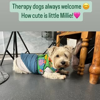 🐶Your therapy dog is welcome in clinic to support you during your appointment.

Therapy dogs have n