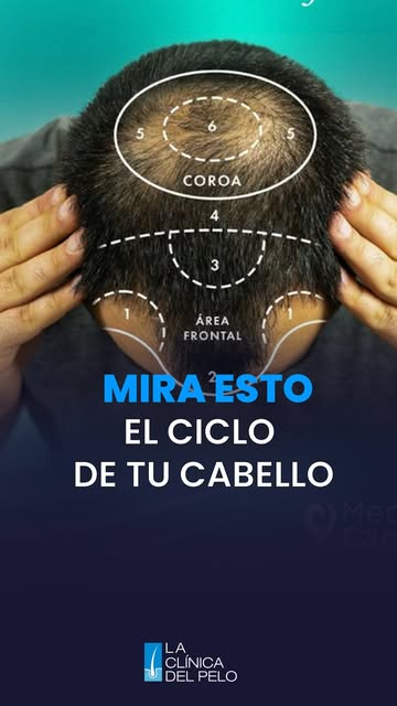 🧬Tu cabello tiene un ciclo. Y cuando ese ciclo cambia, tu cabello te lo comunica.

 No es solo cabe