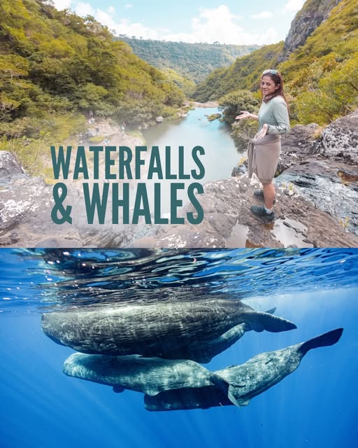 We came for the whales. Mauritius gave us a lot more.

This week wasn’t just about the ocean. We too