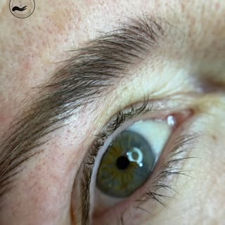 Micropigmentación de cejas pelo a pelo ✨✨

Desliza para ver el antes 👉🏻👉🏻👉🏻

Trabajo realizado