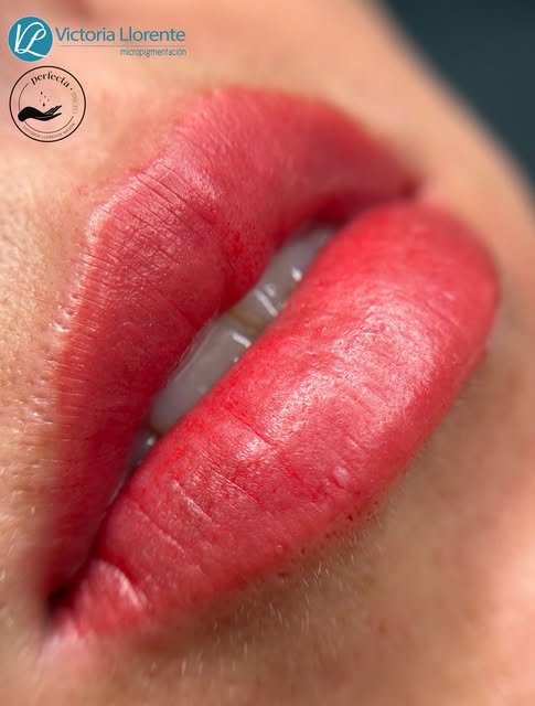 💋 Labios definidos, naturales y llenos de color.
Micropigmentación para realzar tu belleza ✨

No du