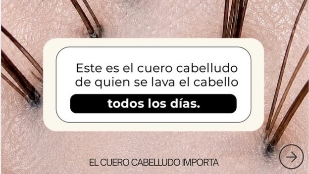 —> El crecimiento del pelo no depende solo del folículo, sino también de la salud del entorno del cu