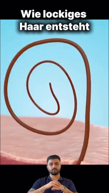 Warum sind manche Haare glatt und andere lockig?
Die Form des Haarfollikels und die Struktur des Haa