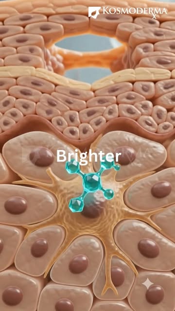 Did you know a medicine used to control bleeding can also help with pigmentation?

Tranexamic Acid i