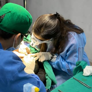 Transforming scalps one strand at a time #hairtransplant