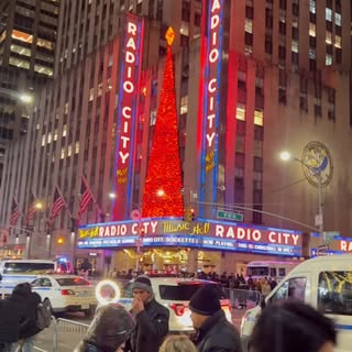 A year ago in the States. Ticked off a major bucket list, experiencing the magic of New York City du