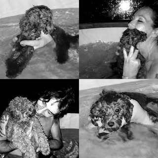 Mia... #barboncino #minipoodles #minitoypoodle #iaiamirco #poodle #viareggio #versilia #barboncinomi