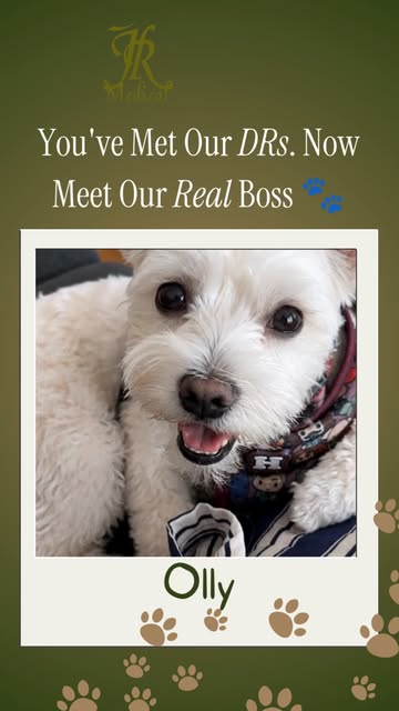 Meet Olly 🐾 JR Medical's unofficial Head of Reception.

He didn't apply for the job. He just... sho