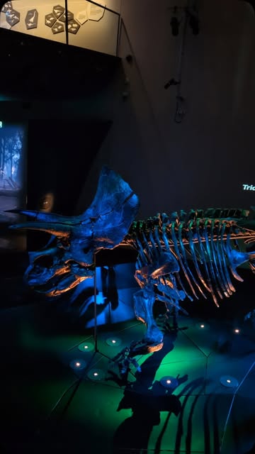 Wear Headphones! 🚨

A spontaneous Fusion at the @melbournemuseum. 

#melbournemuseum #horridus #mel