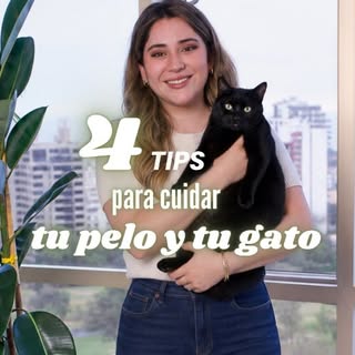 🐱❤️ Minoxidil y mascotas: una combinación que requiere cuidado

¿Usas minoxidil y tienes una mascot
