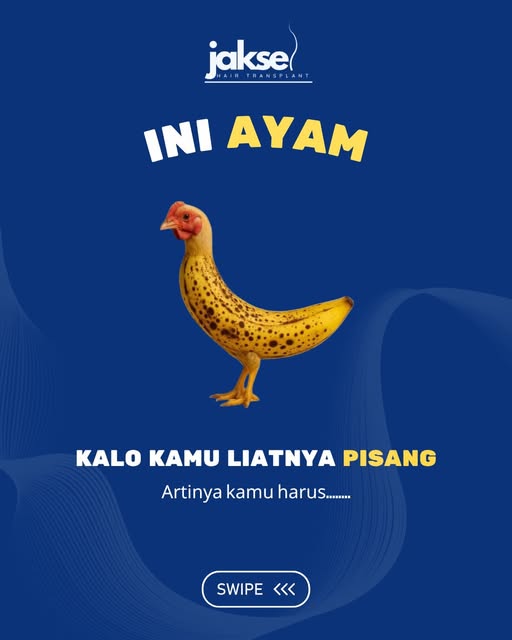 🍌 KALO KAMU LATIHNYA PISANG… ARTINYA KAMU HARUS…👀

KONSULTASI KEBO T A KAN! 🧑‍⚕️😂

Rambut mulai 