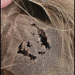 The Art of Alternative Hair: 

Trust the Experts. 👑✂️Did you know? Heather is part of the elite van