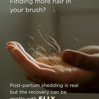 From hormonal shifts to extra shedding, your hair has been through a lot lately. We’re here to help 