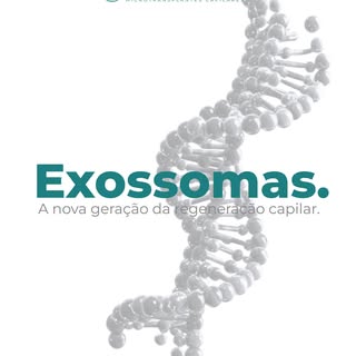 Os exossomas são pequenas vesículas que transportam proteínas e fatores de crescimento, ajudando a e
