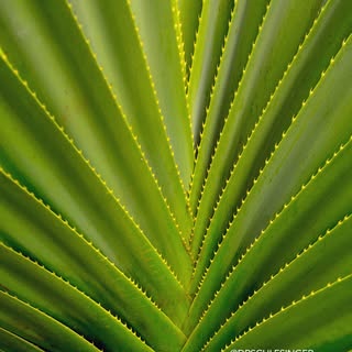The body already knows how to repair itself.
PRP simply concentrates that ability — guiding growth f