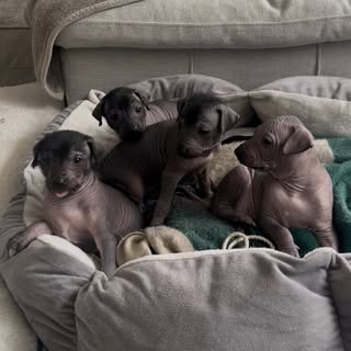 ❤️❤️❤️❤️