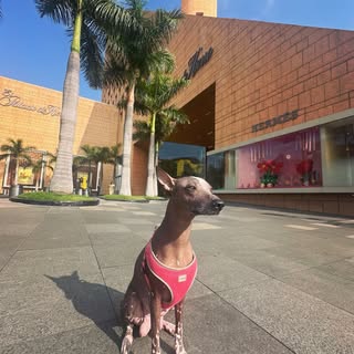Khaali ❤️
