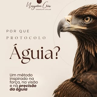 Toda vez que alguém pergunta por que eu chamei isso de Método Águia, eu podia simplesmente dizer ‘po