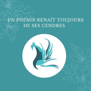 Un phénix renaît toujours de ses cendres 🔥

Peu importe les épreuves, peu importe les défis, il y a