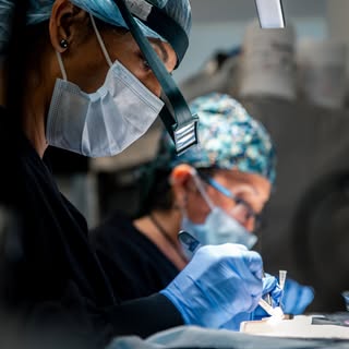 When it comes to restoring hair, results aren’t just about the procedure, they’re about the team beh