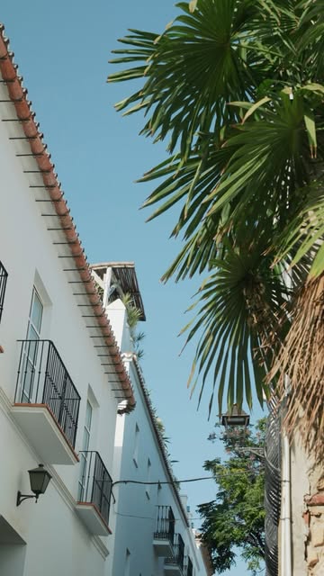 An unforgettable summer. Living and learning in the south of Spain and soaking up everything this be