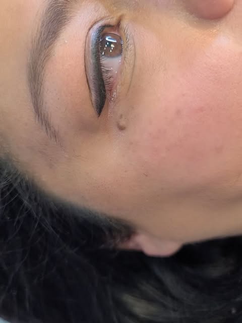 Love how this beautiful, permanent eyeliner turned out! The wing is so seamless and elegant and the 