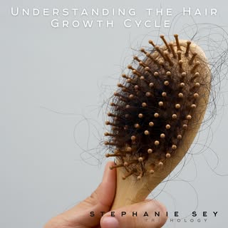 Understanding the Hair Growth Cycle 🌿

Have you ever wondered why you find hair in your brush, on y