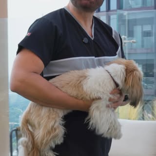 🐶❌ “¿Qué hago si mi perro se atraganta?”

¡Ni me llamo Jaime, ni soy veterinario! 😂

Soy el Dr. Ja
