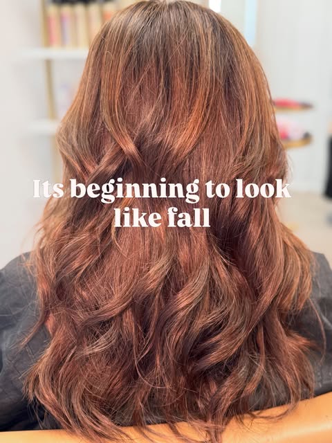 You can really tell it’s fall when the hair colors start to change! 

 I just transformed my lovely 