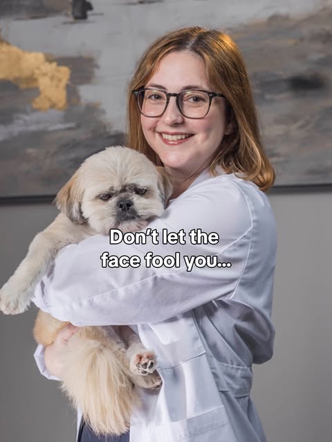 My mascot days are about to get a whole lot happier 🥹

@sydneyrresnik.md is officially joining the 