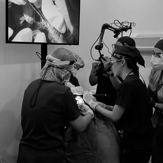 At the 9th @workshop_fue , I had the opportunity to meet and observe some of the best in the world p