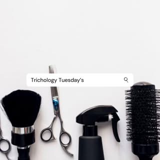 Happy Trichology Tuesday! Join me every Tuesday where we learn and educate on different types of hai