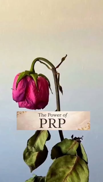 Transform your hair with PRP treatment at Skinedge.in! ✨
Boost hair growth, strengthen roots, and re
