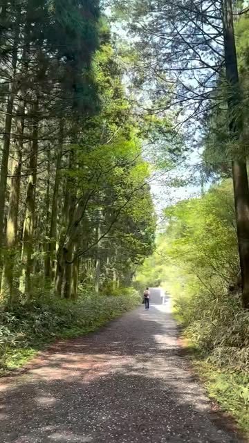 Throwback to the Nakasendo at the end of April.
Did the trail with wifey. Magome, Tsumago, then Nara