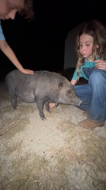 My sister asked me to bring Dundun inside 😅😅😅 she’s literally the sweetest pig. She could’ve kick