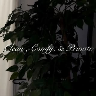 ✨ Welcome to the New Silkopulence Private Studio ✨

Your hair appointment should be more than just a