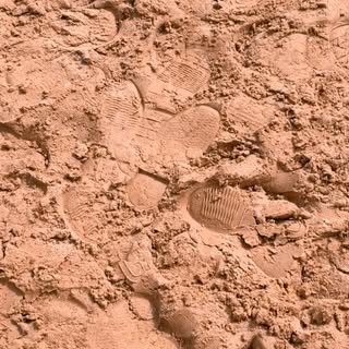 Premier aperçu du quotidien de la clinique !
Si ça vous plaît vous en aurez d’autres 😎