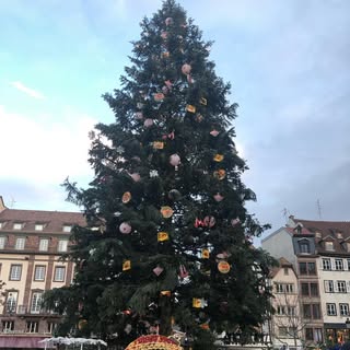 Je vous souhaite une très bonne année 2020, de Strasbourg où nous avons travaillé pour la Formation 