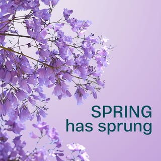 It’s official! We’ve made it through the winter months and landed ourselves in spring 🌸 as everythi