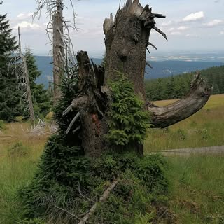 Karkonoskie cudeńka
